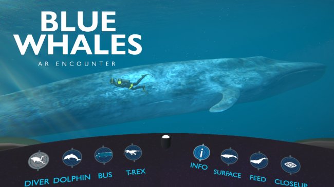 Introduction screen to the Blue Whales AR Encounter app