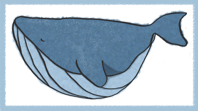 cartoon drawing of a whale