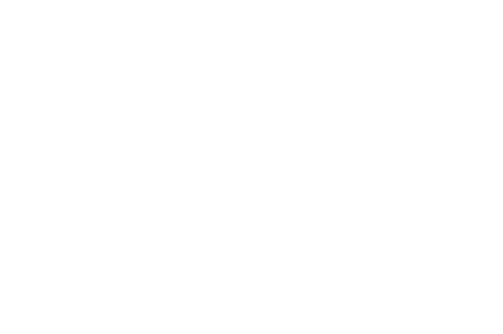 AUDIENCE AWARD - Beijing International Film Festival