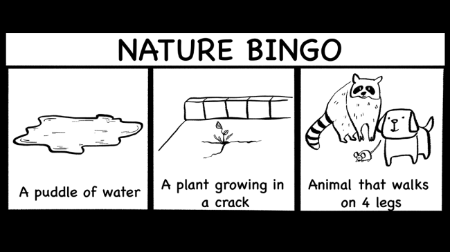 examples of nature bingo