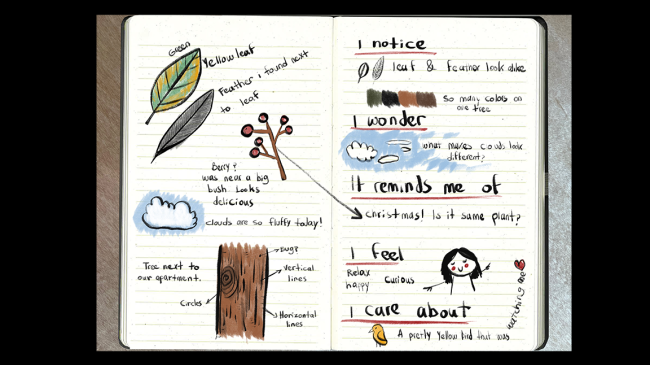 nature journaling